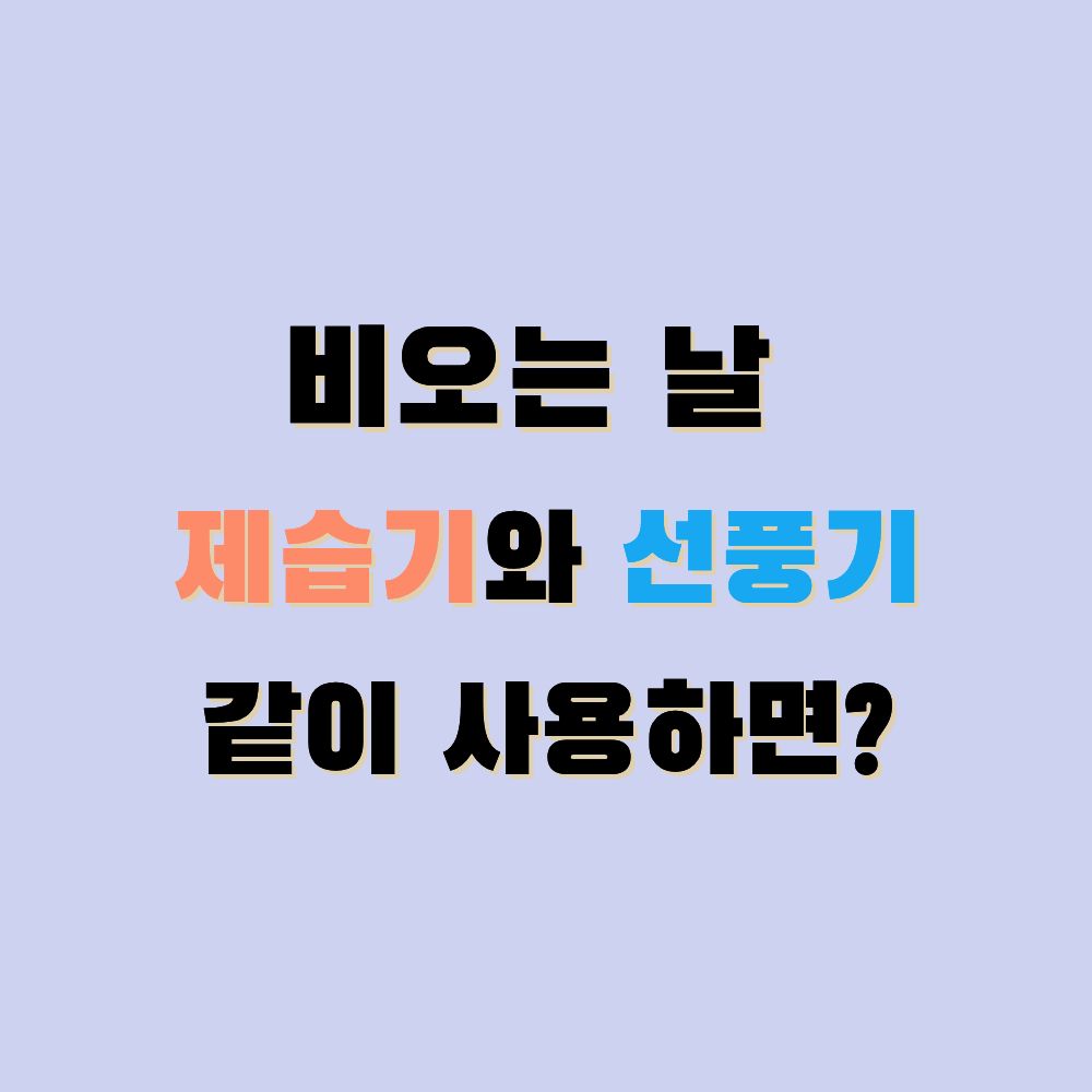 비오는날 제습기 선풍기 같이 틀면 빨래 건조 시간 절반 줄어드는 배치 팁