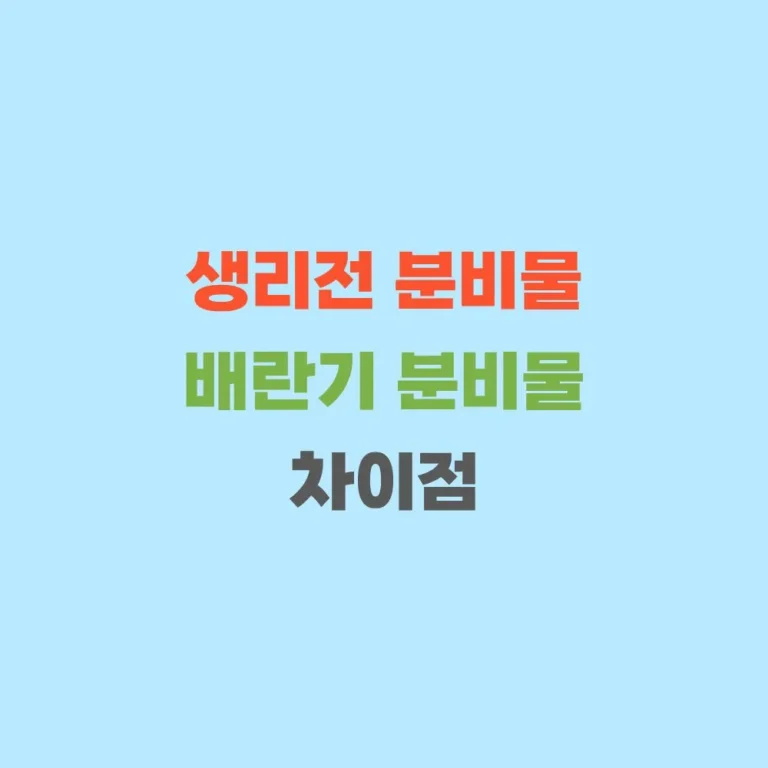 생리전과 배란기의 분비물 차이