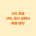 서치콘솔 URL 검사