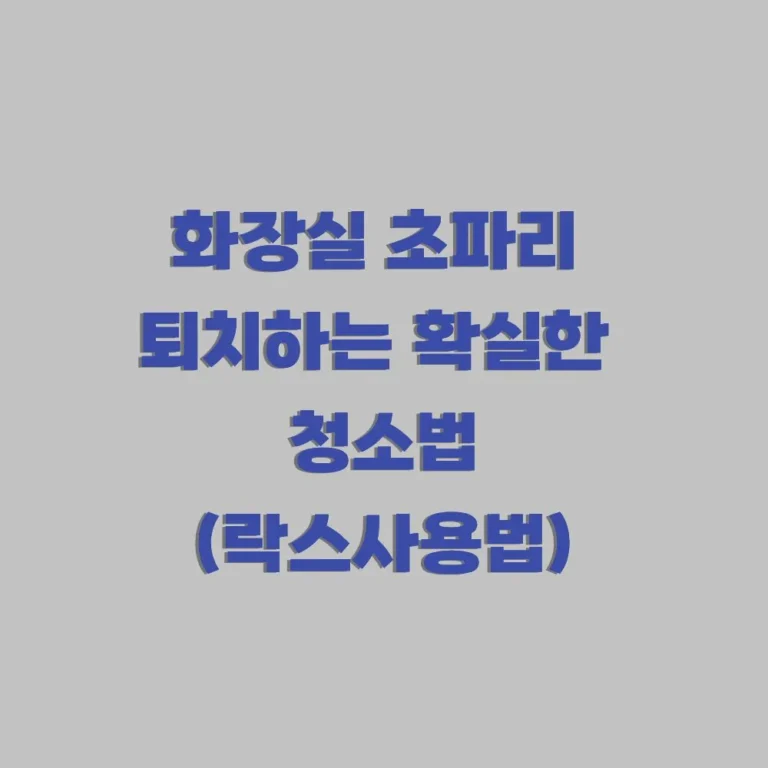 화장실 초파리 퇴치 청소법
