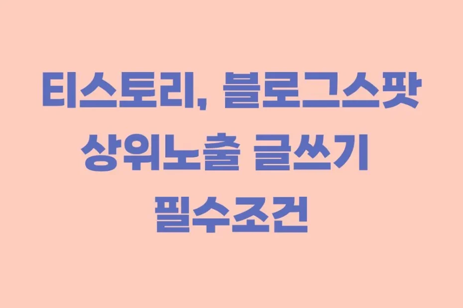 티스토리 블로그스팟 상위노출
