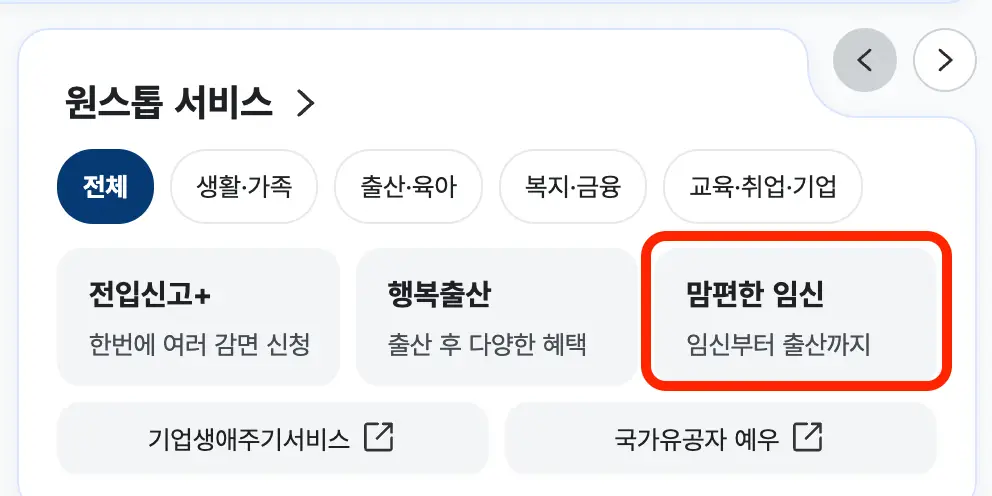 임신 정보 정부24 홈페이지 맘편한 임신