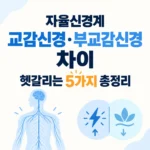 교감신경 부교감신경 차이점