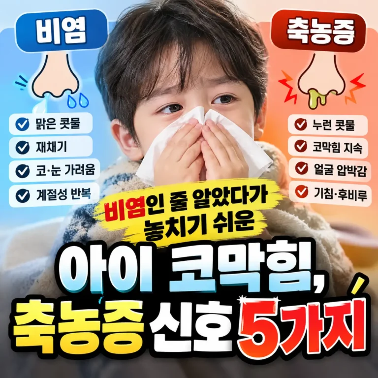 비염과 축농증 비교 신호